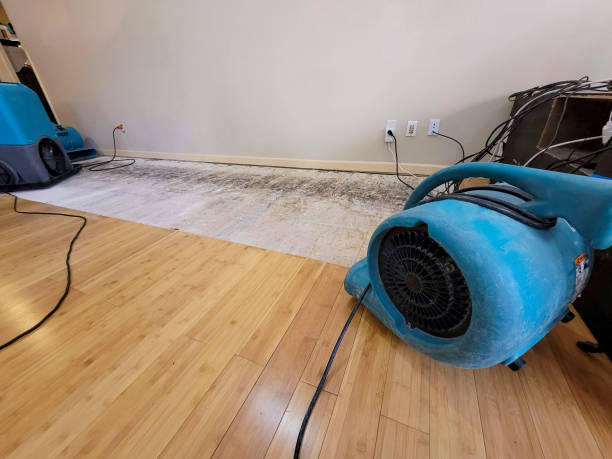 Professional Flood Damage Cleanup technician working in Luling, TX